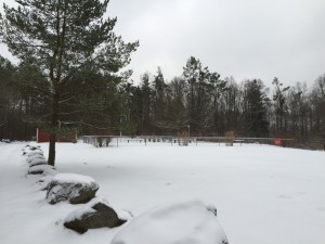 IMG_0685  