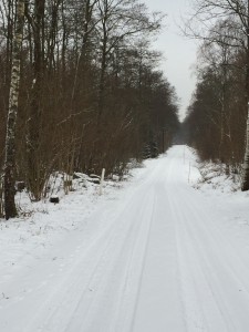 IMG_0688  