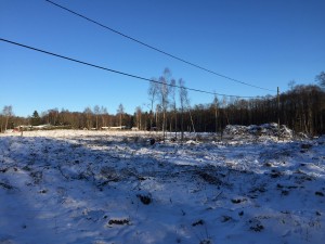 IMG_0699 
