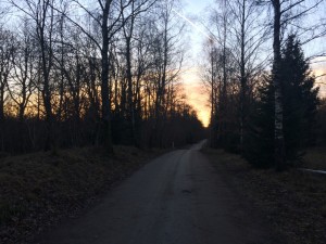 Solnedgång 5