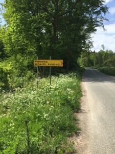 Sommar 1  