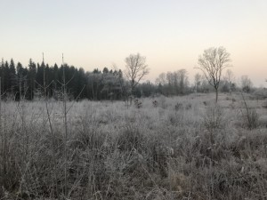 Vinter 2