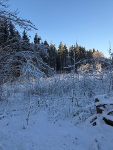 Vinter 2017 1