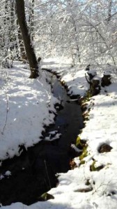 Vinter 2017 10