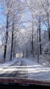 Vinter 2017 11