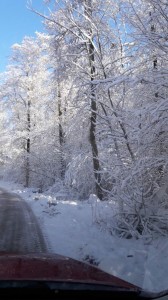 Vinter 2017 12