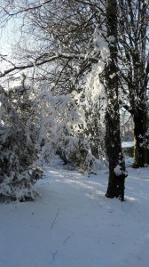 Vinter 2017 15