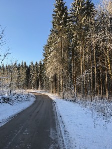 Vinter 2017 3