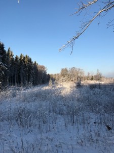 Vinter 2017 4