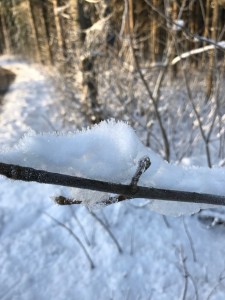 Vinter 2017 6