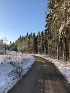 Vinter 2017 7
