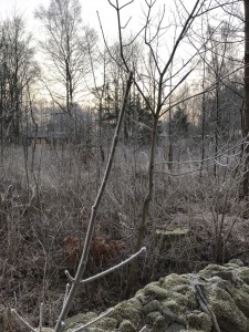 Vinter 3