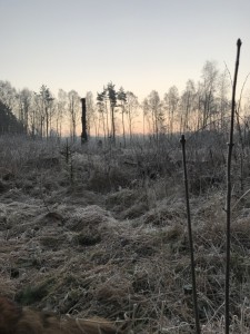 Vinter 4