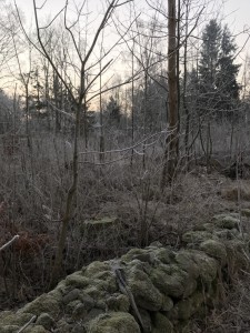 Vinter 5