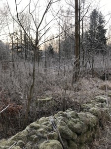 Vinter 6