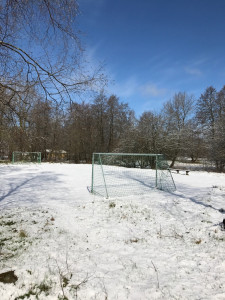 Vår 2017 11