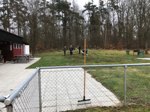 Vår 2017 6