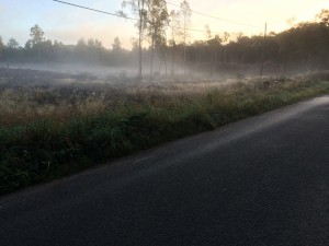 W_Höst_1   