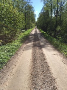 W_Sommar